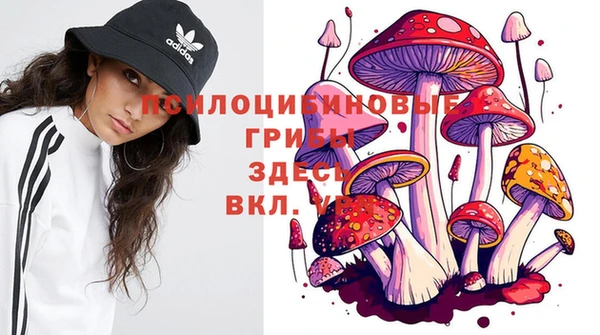мяу мяу мука Ахтубинск