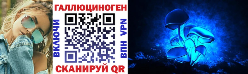 цены наркотик  Константиновск  Псилоцибиновые грибы MAGIC MUSHROOMS 