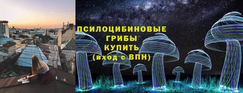 маркетплейс формула  Константиновск  Галлюциногенные грибы Psilocybe  дарнет шоп 